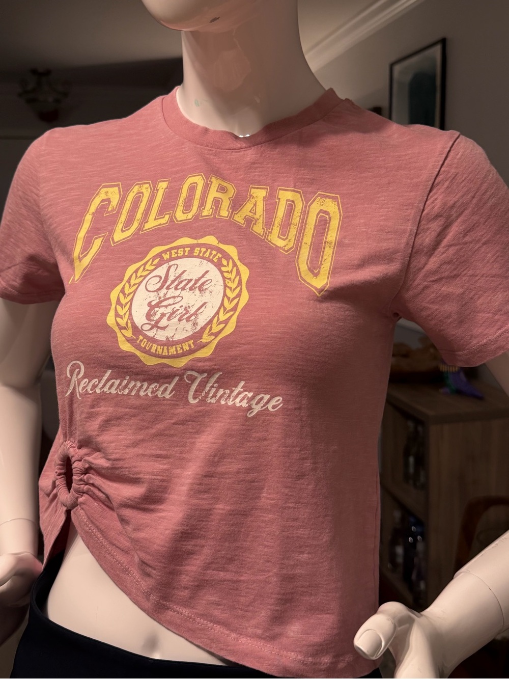 Reclaimed Vintage inspired cropped T-shirt with Colorado print